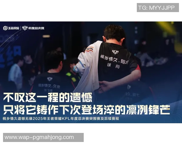 热议王者荣耀TES耐力变革对职业战队竞争格局的深远影响分析